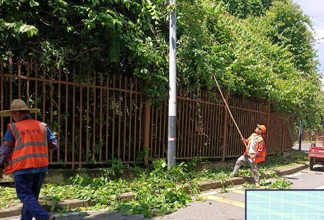 园林绿化养护工人正在清理树枝